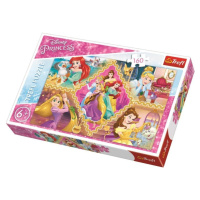 Puzzle Disney Princess Adventures