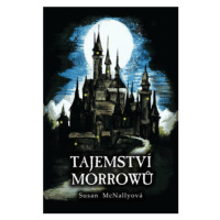 Tajemství Morrowů - McNallyová Susan