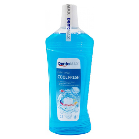 DentaMax Ústní voda Cool fresh 1000ml