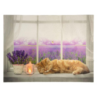 86701 Nástěnná malba kočka na okně, 1 LED, cm