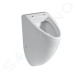 DURAVIT Urinals Pisoár, zadní přívod, WonderGliss, bílá 08233500001