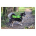 Vsepropejska Heda pláštěnka pro psa Barva: Zelená, Délka zad (cm): 35, Obvod hrudníku: 40 – 47 c