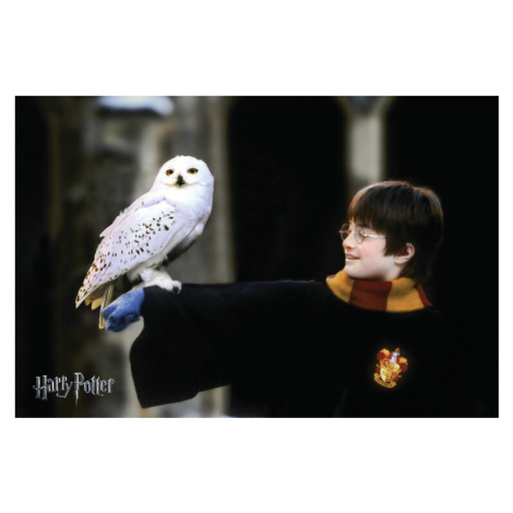 Umělecký tisk Harry Potter with Hedvig, (40 x 26.7 cm)