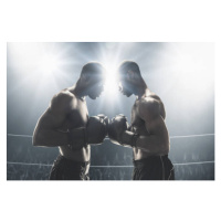 Fotografie African American boxers standing in boxing ring, John Fedele, 40 × 26.7 cm