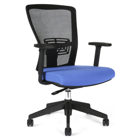 Kancelářská otočná židle THEMIS BP, s područkami a univerzálními kolečky, síťované opěradlo čern