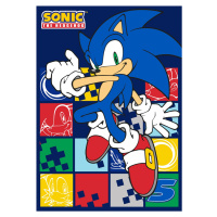 Faro Dětská fleecová deka Polar JEŽEK SONIC 100x140 cm modrá