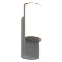 Moderní venkovní nástěnná lampa tmavě šedá včetně LED - Harry