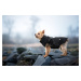 Vsepropejska Tulsi zimní bunda pro psa s postrojem Barva: Černá, Délka zad (cm): 37, Obvod hrudn