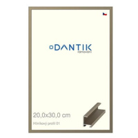 DANTIK rámeček 20 × 30, ALU profil 6001 champagne sklo čiré