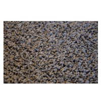 Kusový koberec Color shaggy šedý