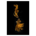 Fotografie Love Story of the Golden Fish, Ganjar	Rahayu, 26.7 × 40 cm