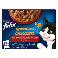 FELIX Sensations Extras rozmanitost chutí země, 12× 85 g