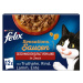 FELIX Sensations Extras rozmanitost chutí země, 12× 85 g