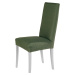 Komashop Potah na židli TIMEA Barva: bledě zelená