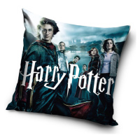 Povlak na polštářek Harry Potter Čarodějovi Učni