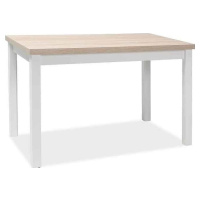 Casarredo Jídelní stůl ADAM 100x60 dub sonoma/bílá mat