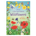 Little First Stickers Wildflowers - Caroline Young, Sarah Watkins (ilustrátor) - kniha z kategor