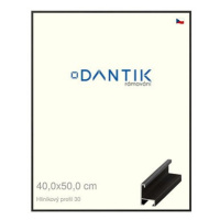 DANTIK rámeček 40 × 50, ALU profil 6030 Dýha černý sklo čiré