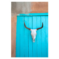 Ilustrace Long horn cow skull on wall., Grant Faint, 26.7 × 40 cm