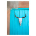 Ilustrace Long horn cow skull on wall., Grant Faint, 26.7 × 40 cm