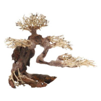 Dupla Bonsai M -Přírodní dřevěná dekorace do sladkovodního akvária 30x15x23 cm