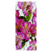 FTN V 2934 Vliesová fototapeta dveřní Flower apple blossom, velikost 90 x 202 cm