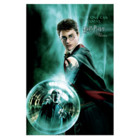 Umělecký tisk Harry Potter  - Only one can survive, 26.7 × 40 cm