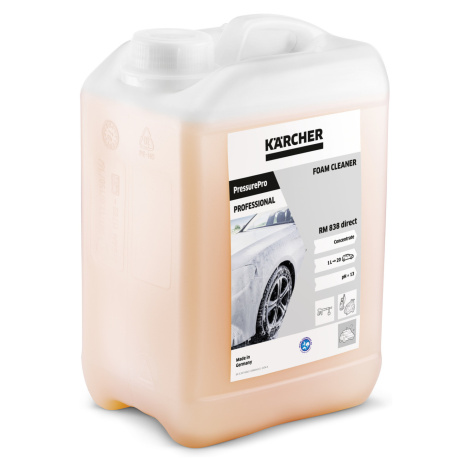 Kärcher PressurePro pěnový čistič RM 838 Direct, 3l