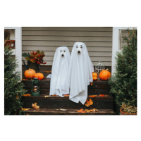 Fotografie dog ghost for halloween, Sergeeva, 40x26.7 cm