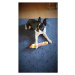 Vsepropejska Beast pískací plyšová hračka pro psa | 25 cm Barva: Žlutá