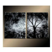 Vícedílné obrazy - Strom v noci