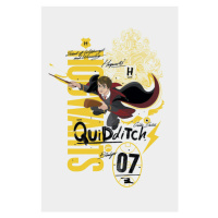 Umělecký tisk Harry Potter - Quidditch 07, (26.7 x 40 cm)