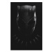 Plakát Black Panther: Wakanda Forever - Mask (198)