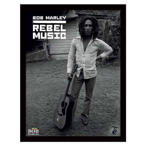 Obraz na zeď - Bob Marley - Rebel Music, 30x40 cm Pyramid
