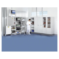 asecos Laboratorní skříň na chemikálie, 1 dveře, poloviční výška, 2 police, bez pohledového okén