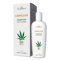 Cannaderm Capillus šampon proti lupům NEW 150ml