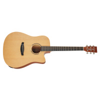 Tanglewood TR 5 CE