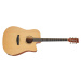 Tanglewood TR 5 CE