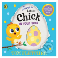 There’s a Little Chick In Your Book - Tom Fletcher - kniha z kategorie Beletrie pro děti