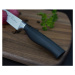 Nůž na zeleninu IVO Premier 10 cm 90022.10