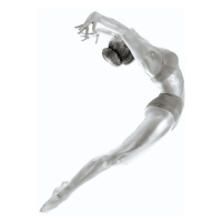 Fotografie Flight - Gymnastics Series, Howard Ashton-Jones, 40 × 40 cm