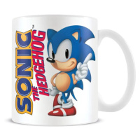 Hrnek Sonic the Hedgegog Classic Gaming Icon, 0,3 l