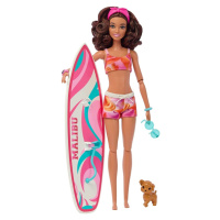 Mattel barbie® surfařka s doplňky, hpl69