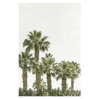 Fotografie Vintage palm trees at the beach, Melanie Viola, 26.7 × 40 cm