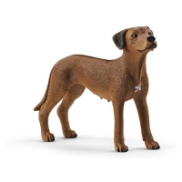 SCHLEICH - Zvířátko - pes ridgback rhodéský