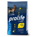 Prolife Dog sada 2 balení - 2 x 12 kg Smart Adult Medium/Large Chicken & Rice