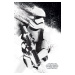 Plakát, Obraz - Star Wars VII: Síla se probouzí - Stormtrooper Paint, (61 x 91.5 cm)