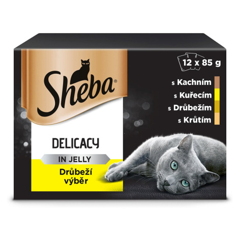 Krmiva pro kočky Sheba