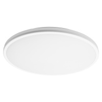 LIVARNO home Nástěnné / Stropní LED svítidlo (bílá)