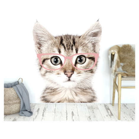 DEKORACJAN Samolepka na zeď - kotě v brýlích Velikost: L